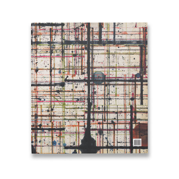 Back cover of Plane Image: A Brice Marden Retrospective rare book