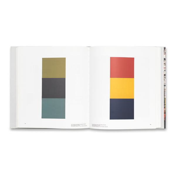 Interior spread of Plane Image: A Brice Marden Retrospective rare book