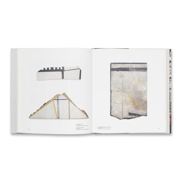 Interior spread of Plane Image: A Brice Marden Retrospective rare book