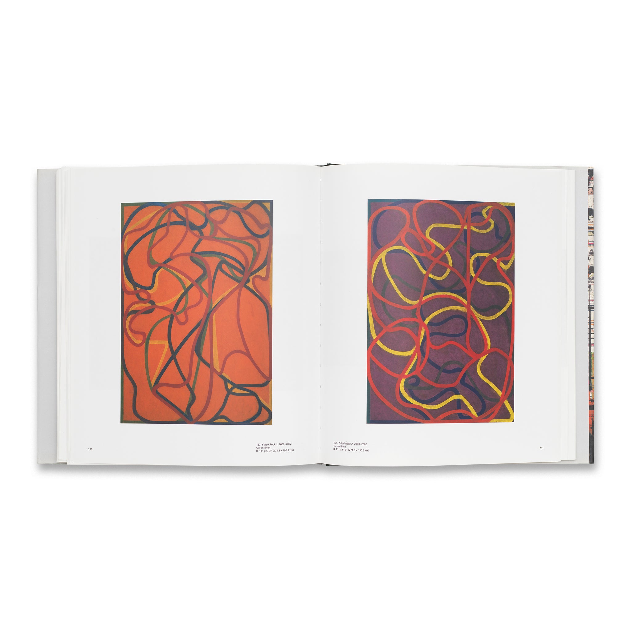アート・デザイン・音楽 PLANE IMAGE A BRICE MARDEN RETROSPECTIVE Plane Image: A Brice Marden Retrospective Rare Book