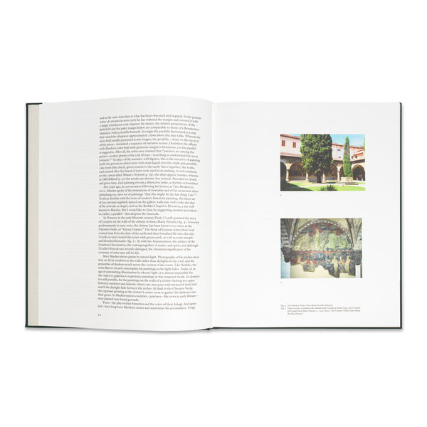 Interior spread of the book Brice Marden, published in 2017