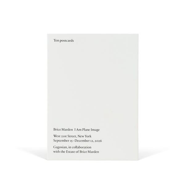 Back of Brice Marden: I Am Plane Image Postcard Set