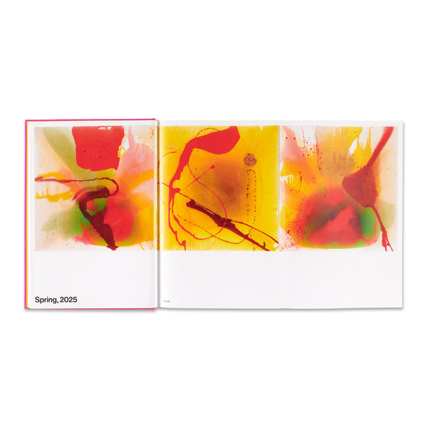 Interior spread of Helen Marden monograph