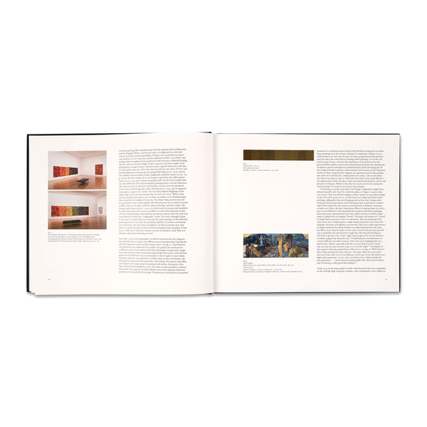 Interior spread of the book Brice Marden: Let the painting make you