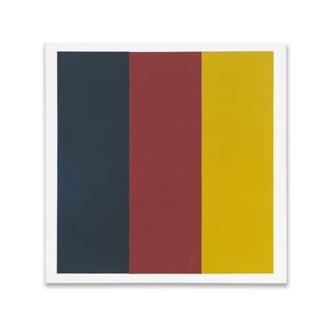 Cover of Brice Marden: Red Yellow Blue book in dust jacket