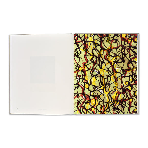 Interior spread of Brice Marden: Works on Paper book