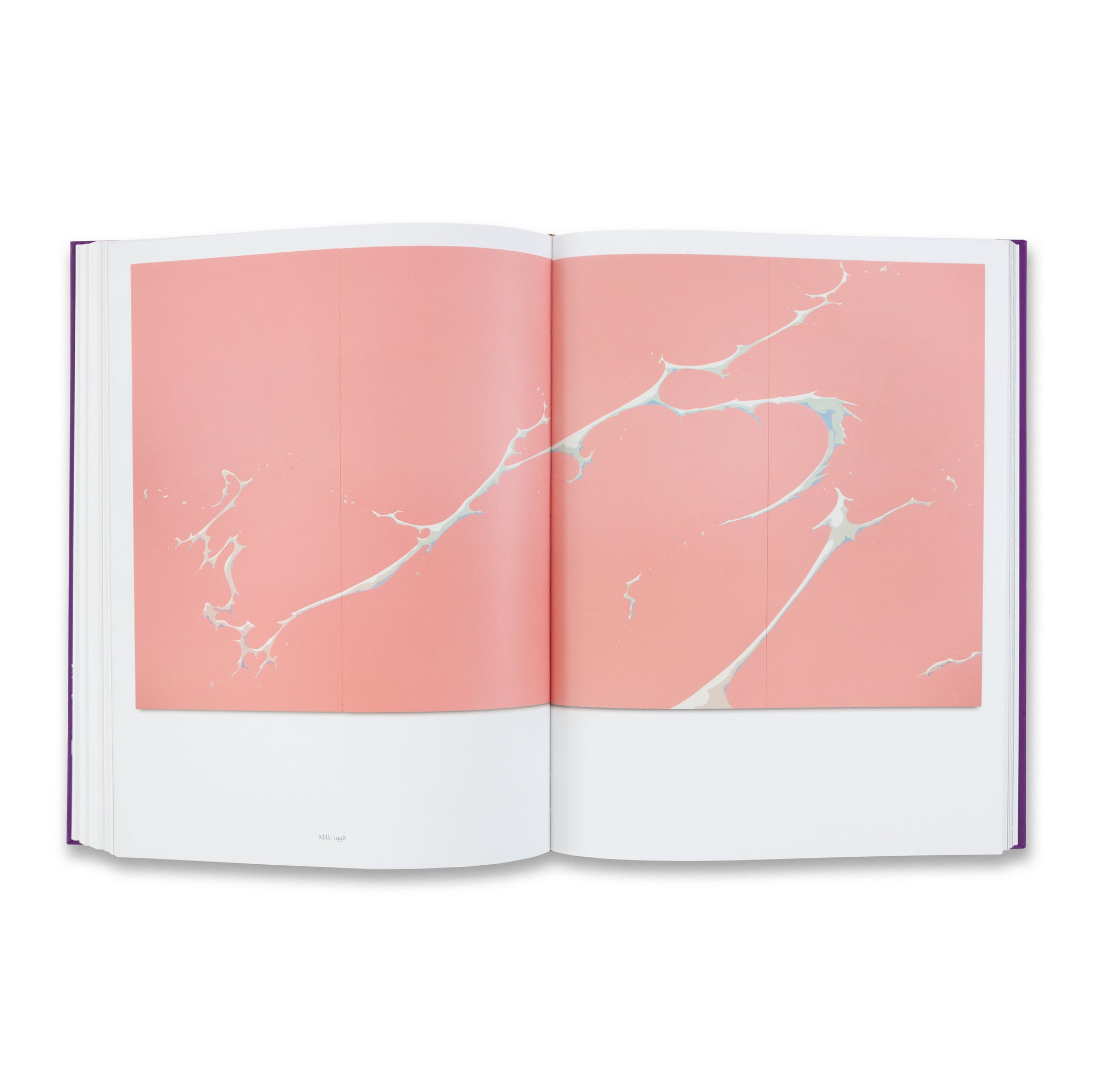 MURAKAMI Book | Gagosian Shop