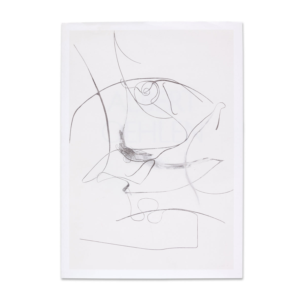 Albert Oehlen: Drawings Book | Gagosian Shop