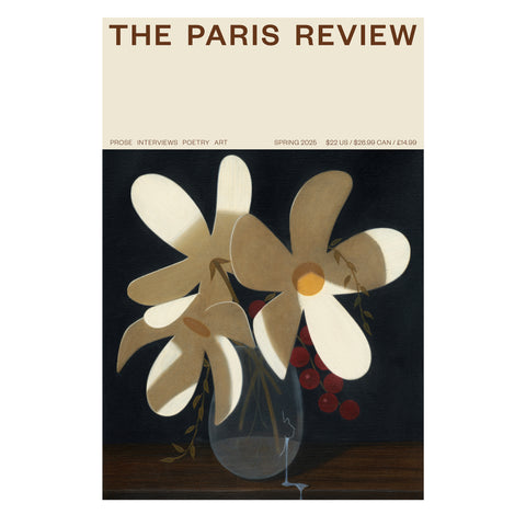 Paris Review: Anna Weyant poster