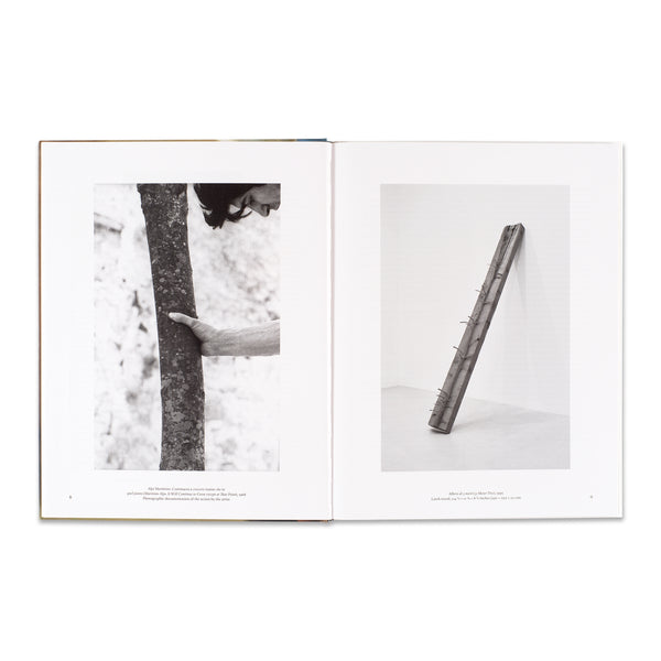 Interior spread of Giuseppe Penone: The Reflection of Bronze book