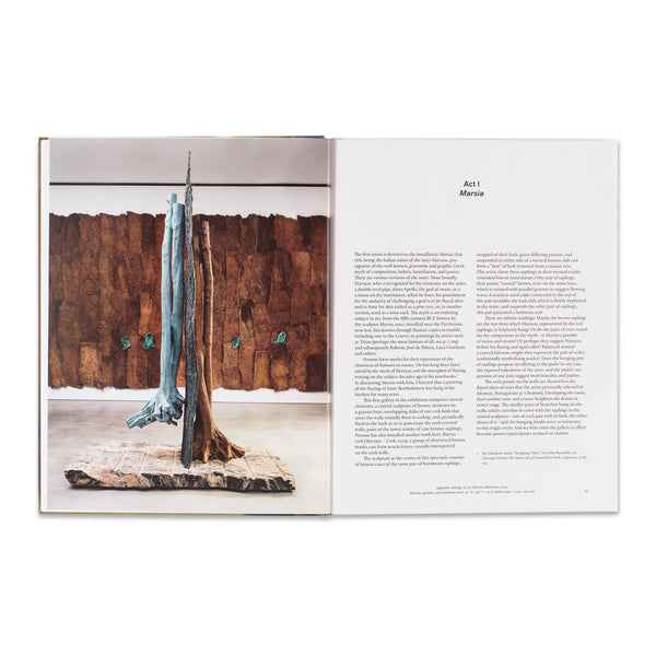 Interior spread of Giuseppe Penone: The Reflection of Bronze book