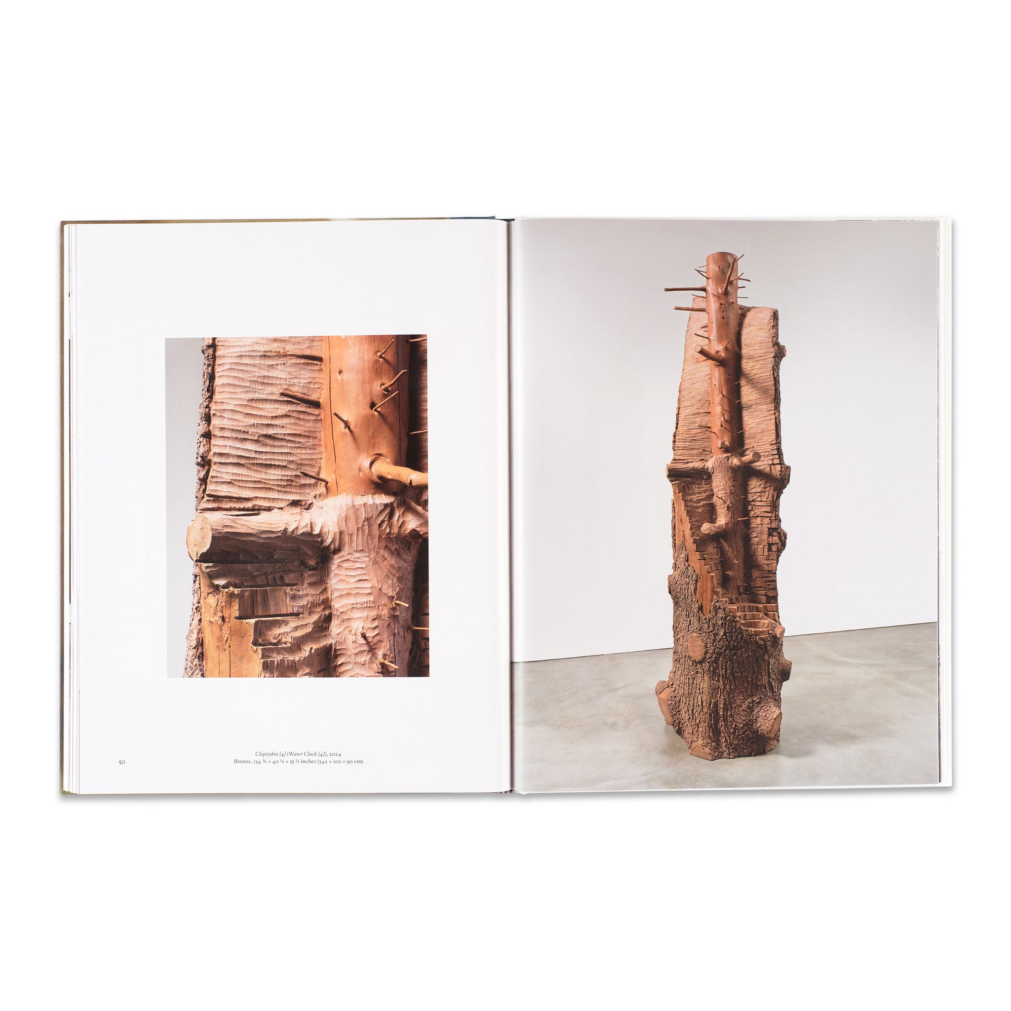 Giuseppe Penone: The Reflection of Bronze Book | Gagosian Shop