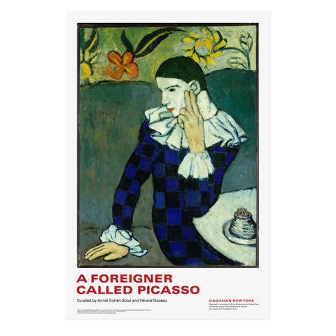 A Foreigner Called Picasso poster