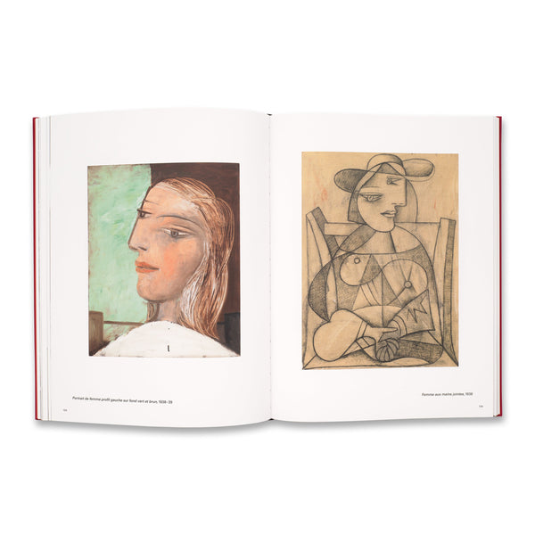 Interior spread of the book A Foreigner Called Picasso: Volume 1