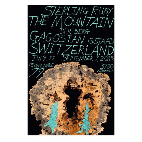 Sterling Ruby: THE MOUNTAIN poster