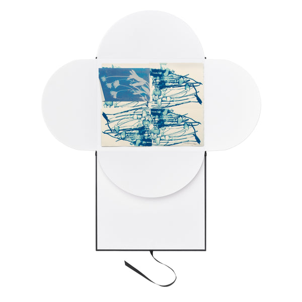 Sterling Ruby: DRFTRS (Daisy Ghost) print in portfolio case