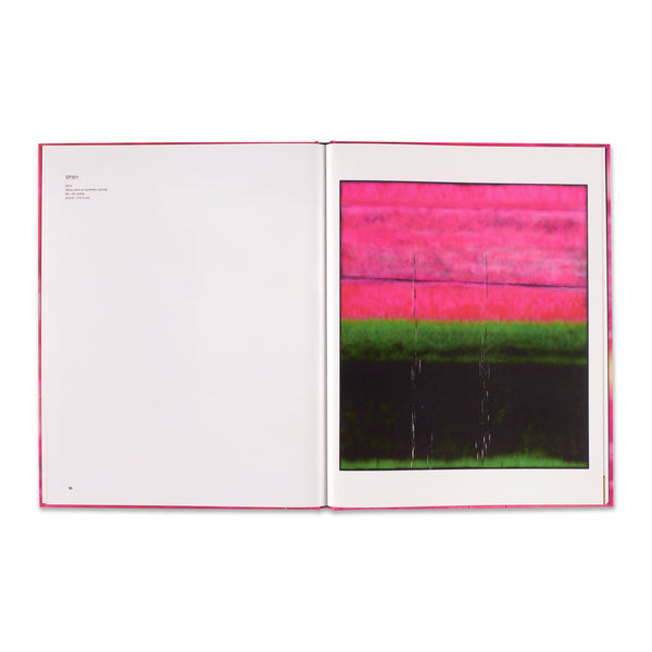 Interior spread of Sterling Ruby: VIVIDS book