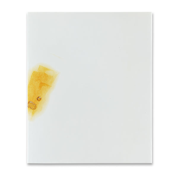 Cover of Edward Ruscha Catalogue Raisonné of the Books, Prints, and Photographic Editions, 1960–2022 book (Volume 2)