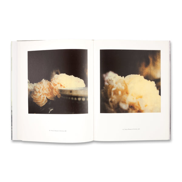 Interior spread of Cy Twombly: Photographs 1951–2007 rare book