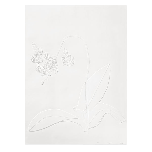 Jonas Wood: Clipping 1 print