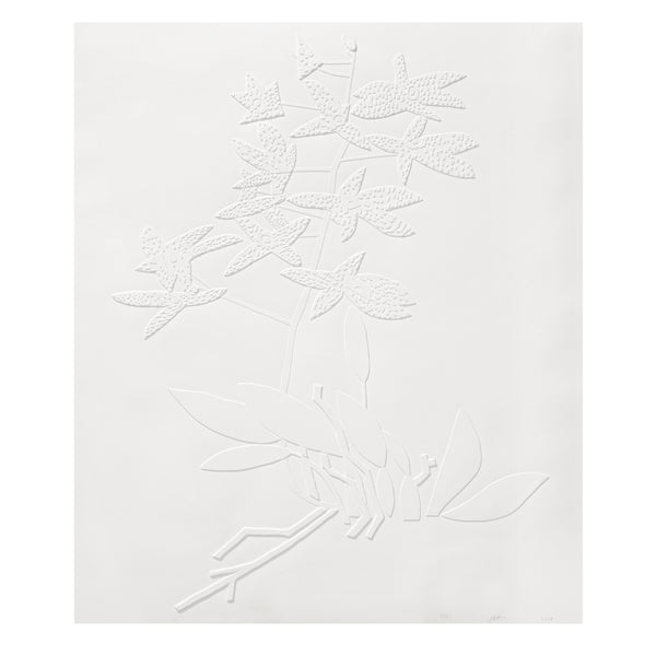 Jonas Wood: Clipping 3 print