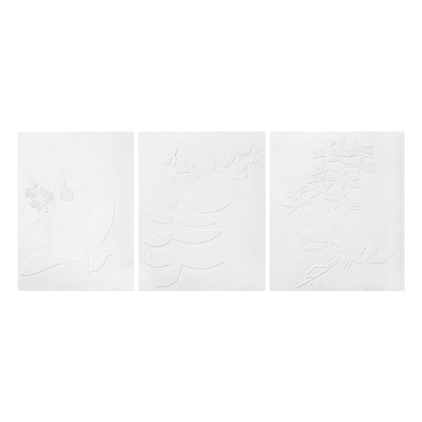 Jonas Wood: Three Clippings (White) Print | Gagosian Shop