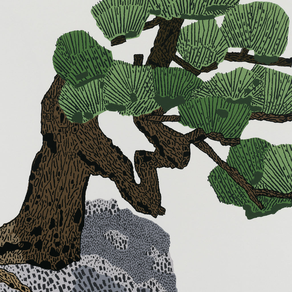 bonsai tree print Jonas Wood: Bonsai Print
