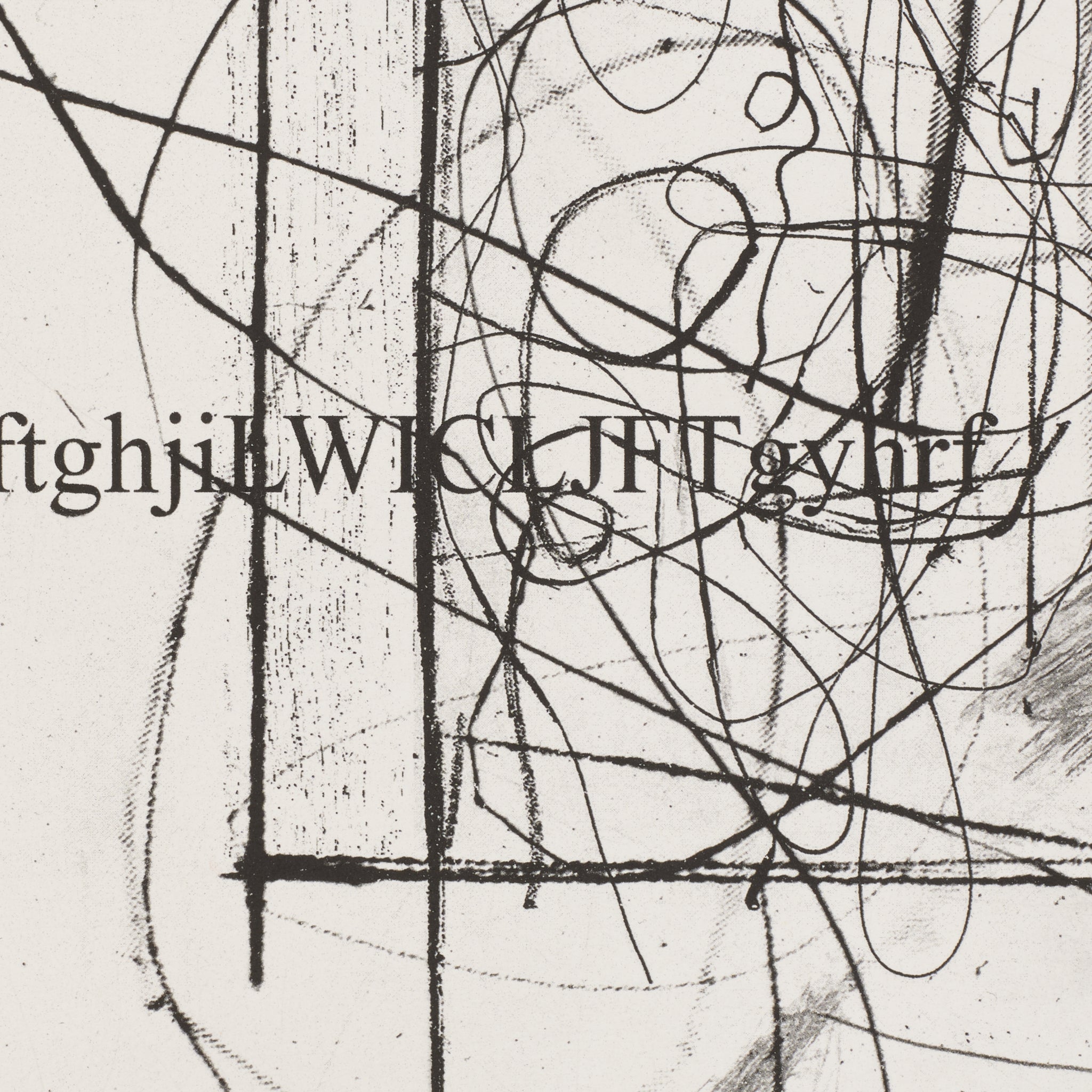 Christopher Wool: Defenestration Suite #8 Print | Gagosian Shop
