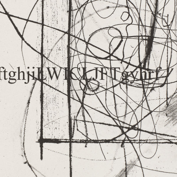 Detail of Christopher Wool: Defenestration Suite #8 print