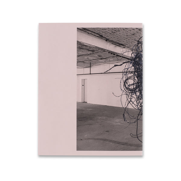 Back cover of Christopher Wool: See Stop Run book