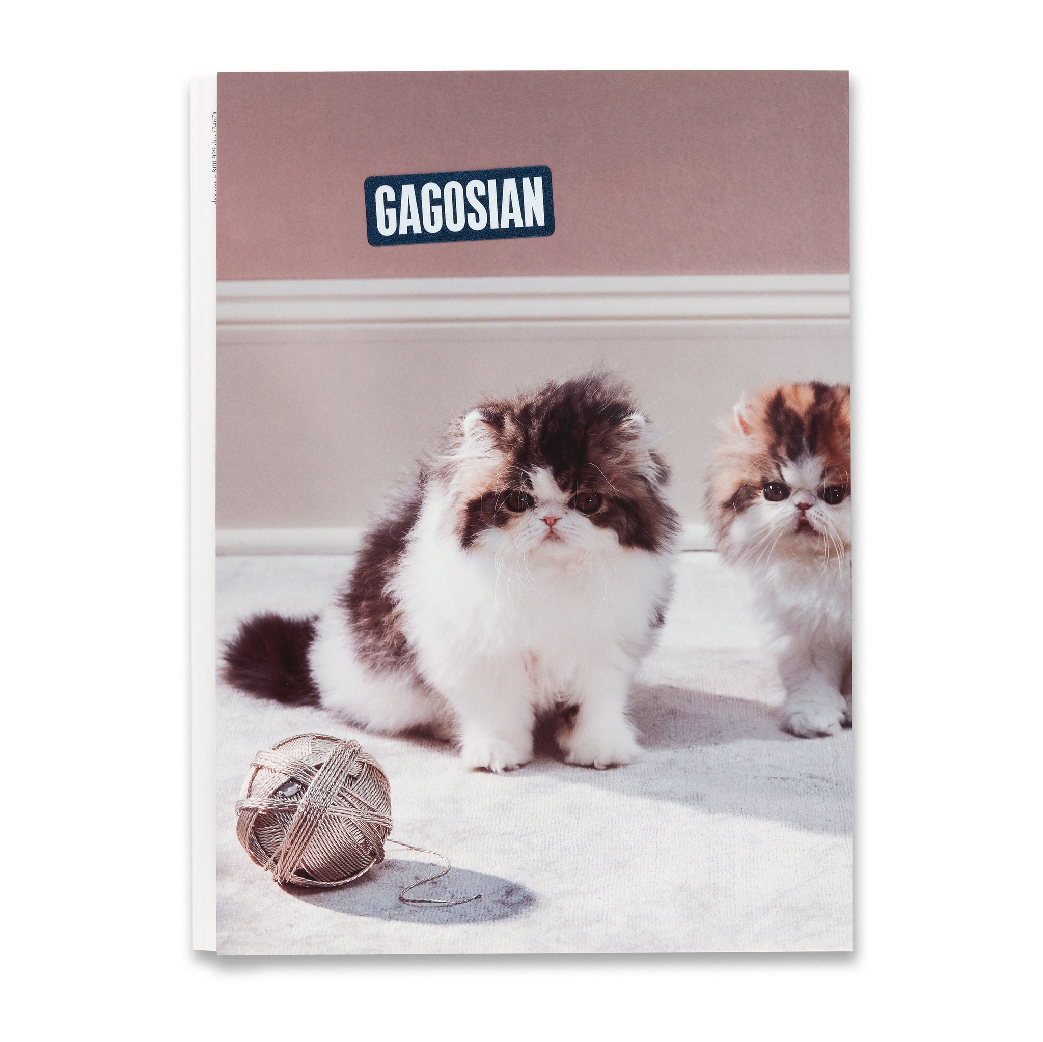 Cover of the Spring 2023 issue of Gagosian Quarterly magazine, featuring artwork by Roe Ethridge