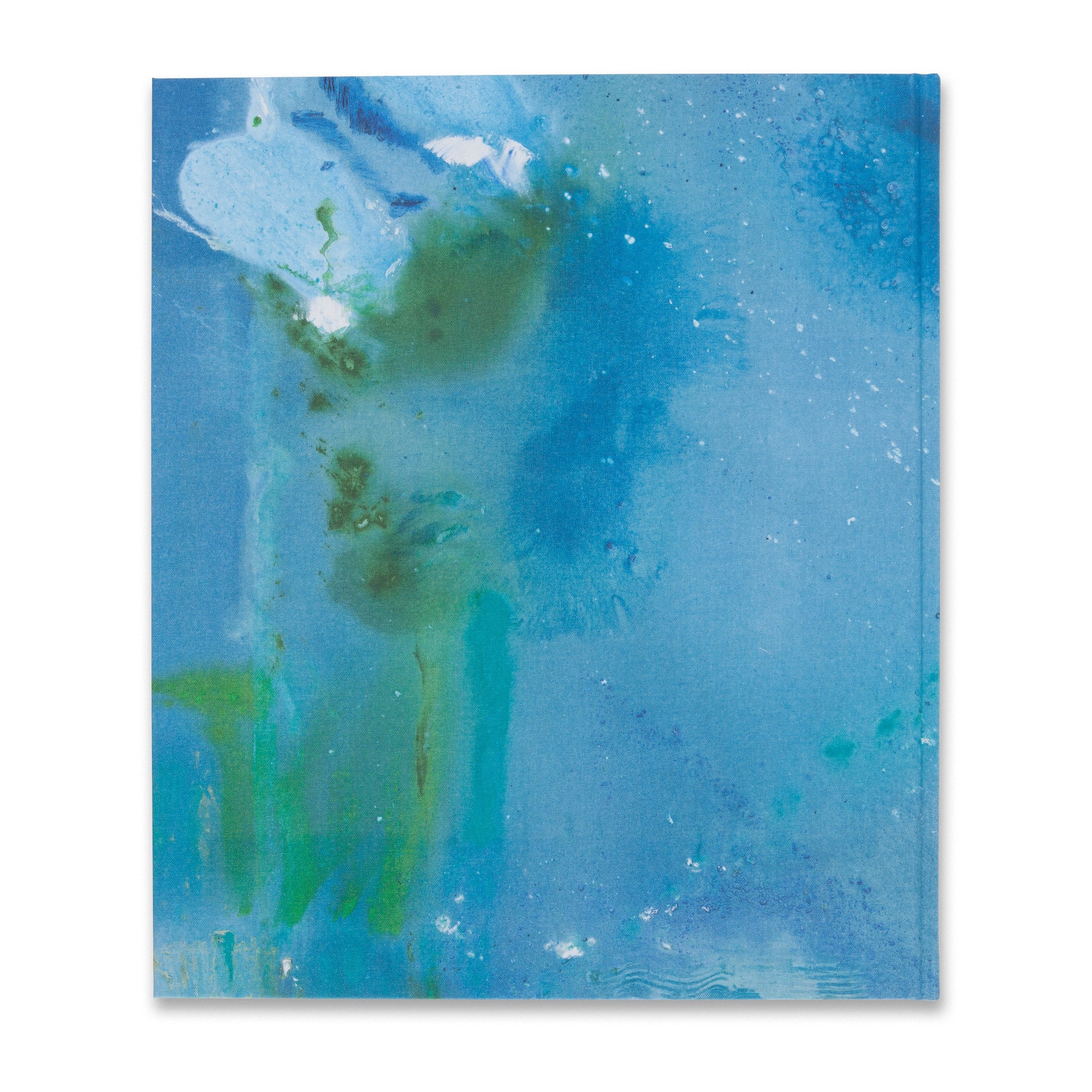 frankenthaler_drawing_back_204