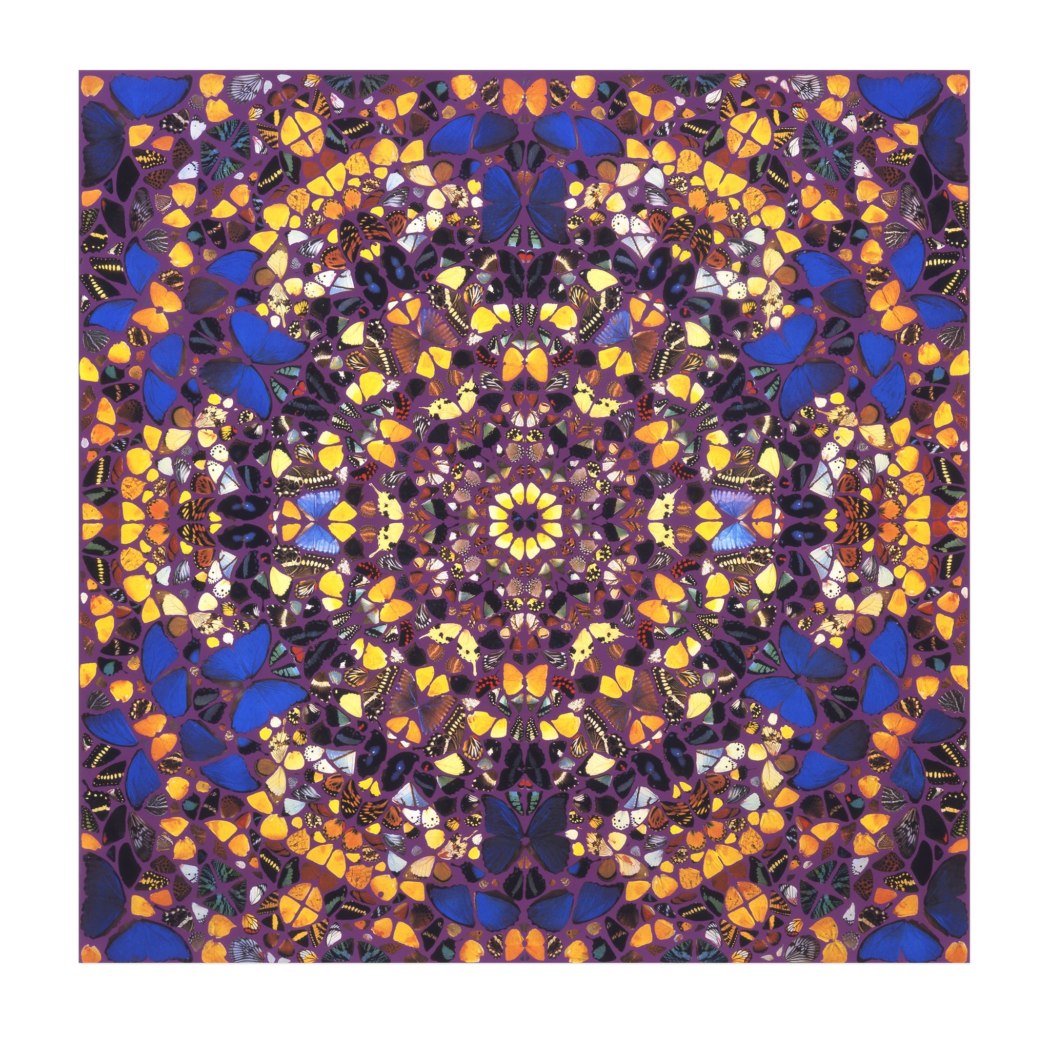 Damien Hirst: Cathedral, Notre-Dame prin