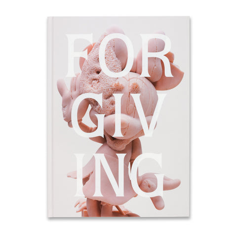 Front cover of the book Damien Hirst: Forgiving and Forgetting (Minnie cover)
