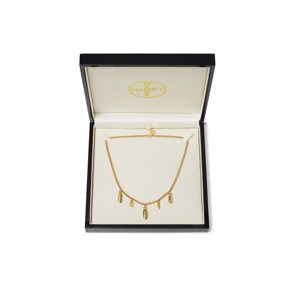 Damien Hirst: 5 Pill Necklace (Yellow Gold) in box