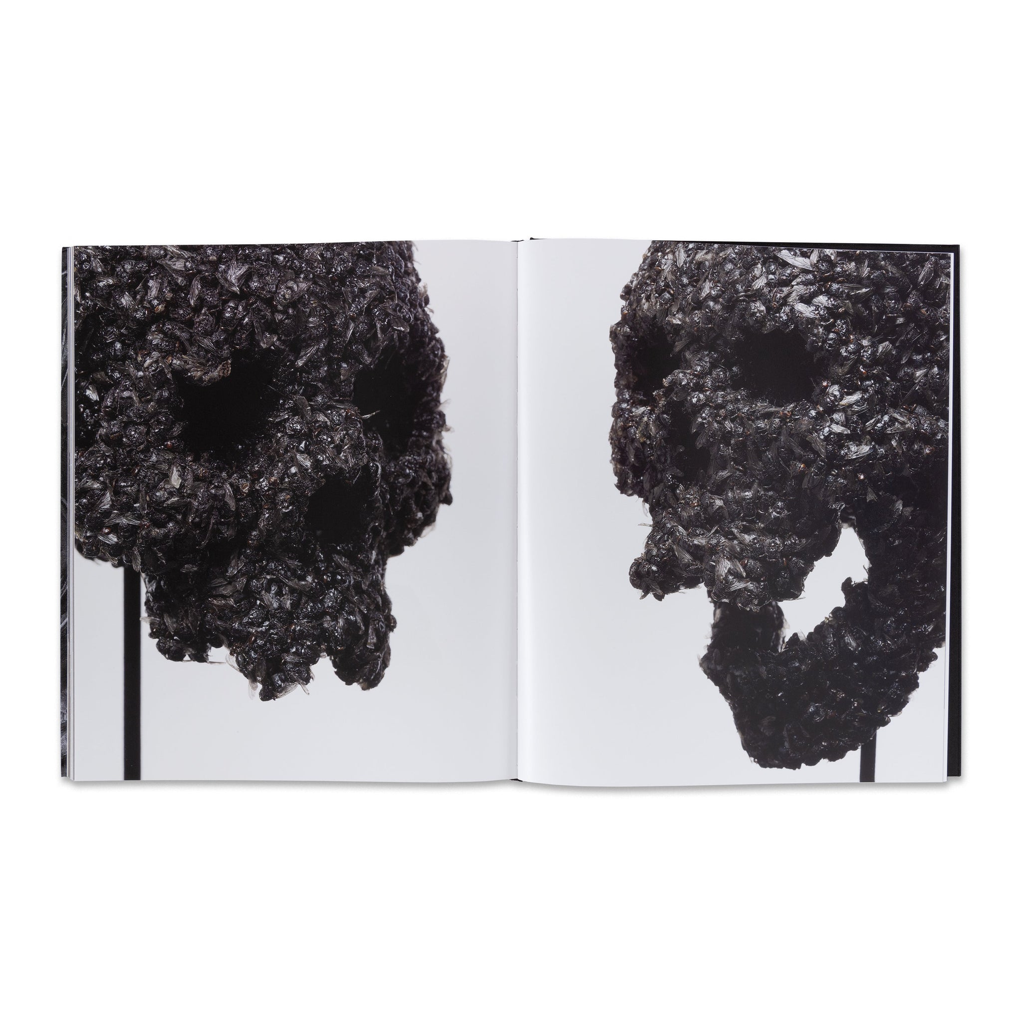 Damien Hirst: Relics and Fly Paintings Book | Gagosian Shop