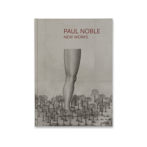 Cover of the book Paul Noble: New Works