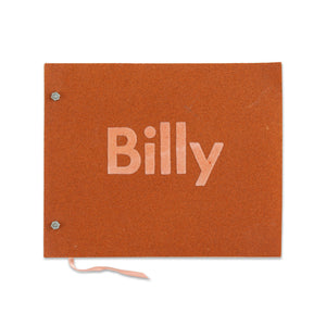 Cover of the book Billy Al Bengston: Billy