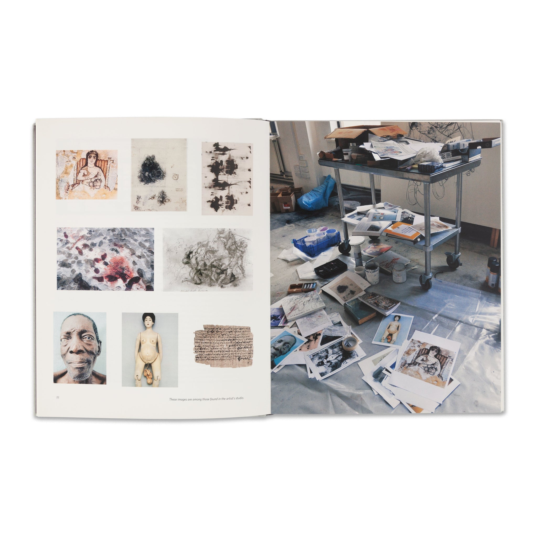 Jenny Saville Book | Gagosian Shop
