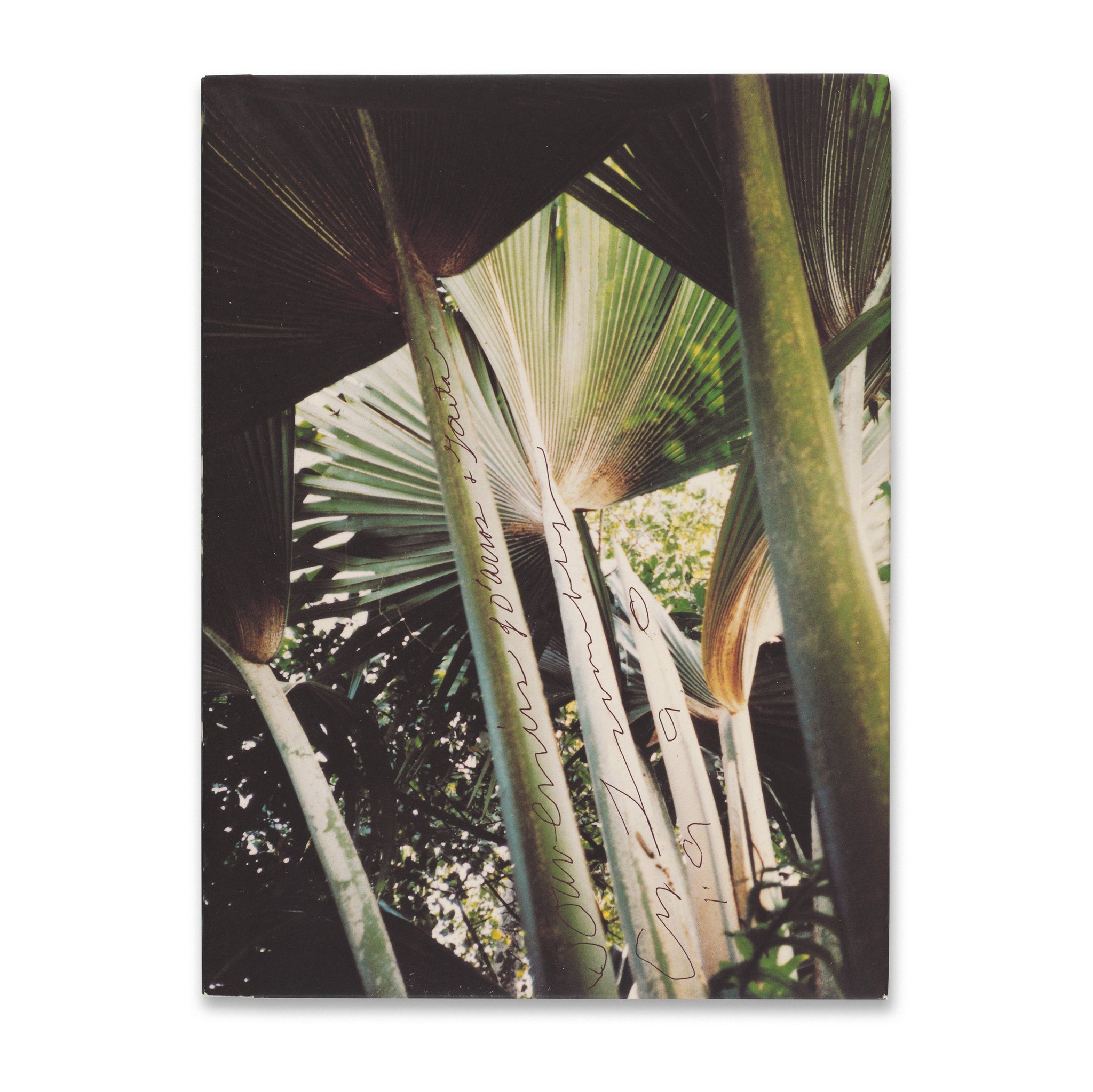 サイ・トゥオンブリー / AT INVERLEITH HOUSE Cy Twombly – The Botanics Shop at Royal Botanic Garden Edinburgh