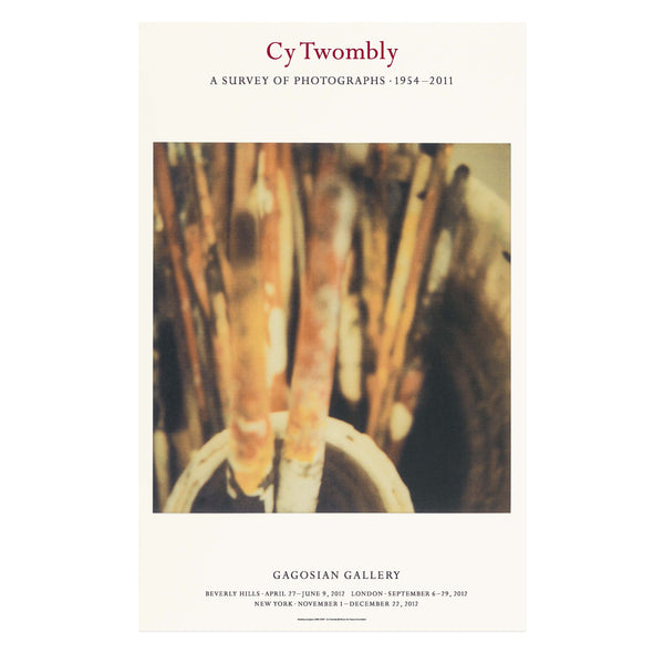 Cy Twombly: A Survey of Photographs, 1954–2011 Poster 