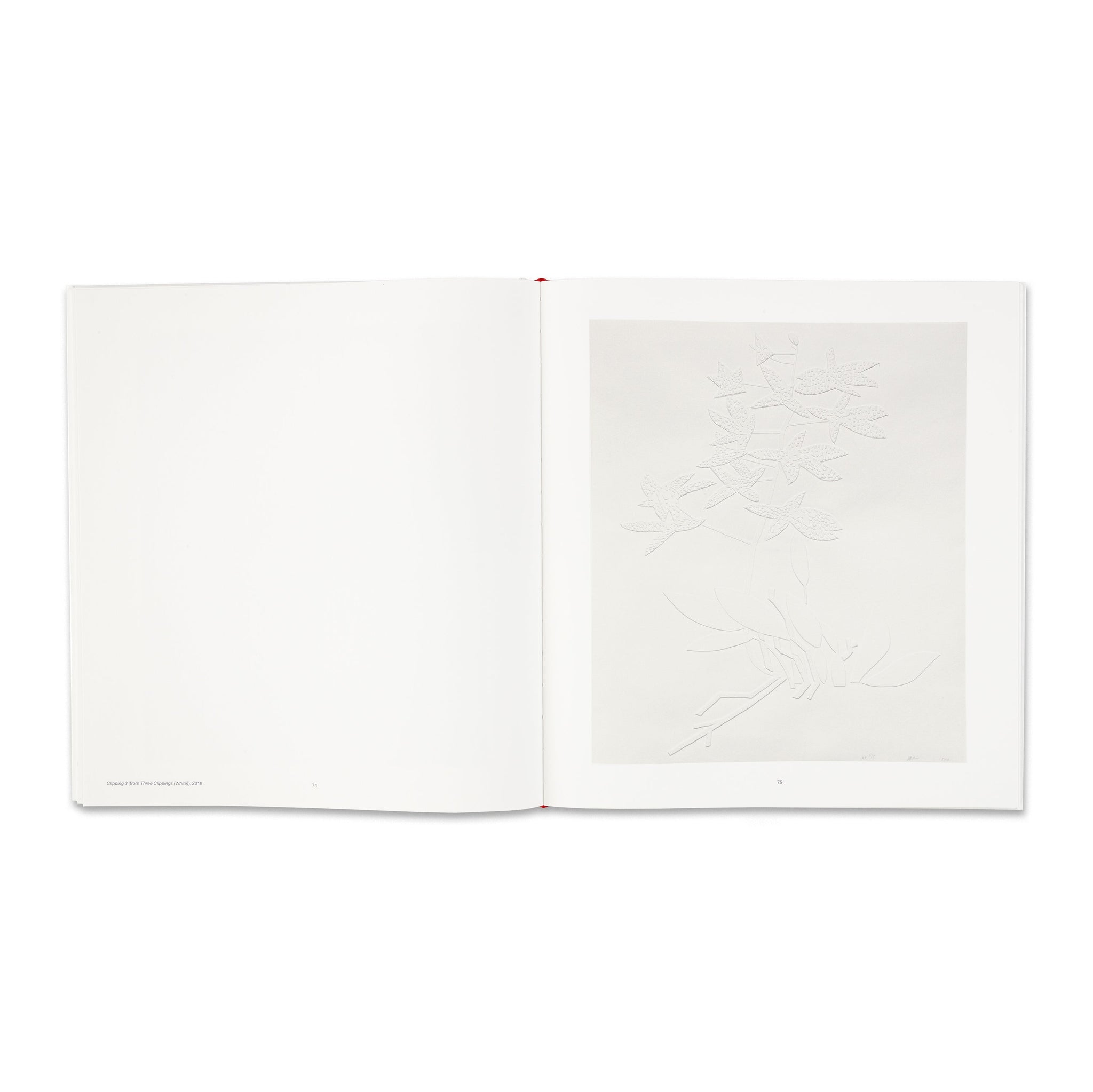 Jonas Wood: Prints 2 Book | Gagosian Shop